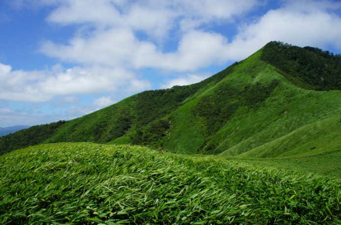 下蒜山