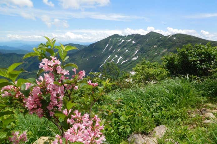 守門岳