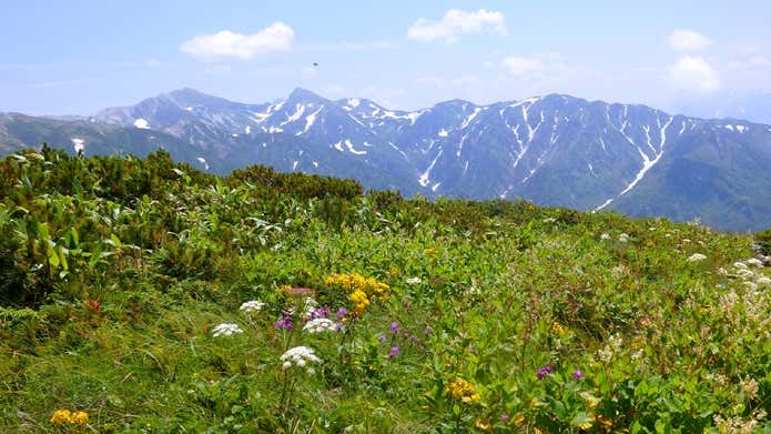 白馬の峰々