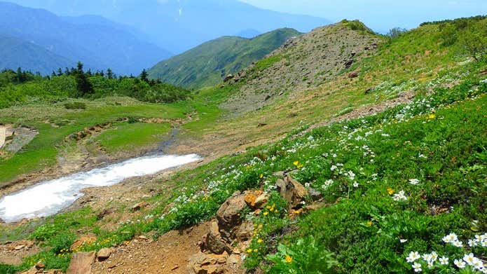 朝日小屋への登山道