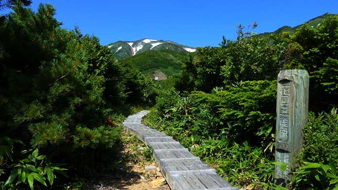 花園三角点