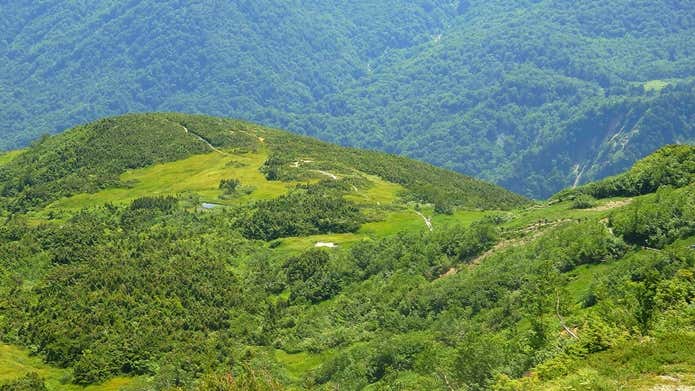 五輪尾根の風景