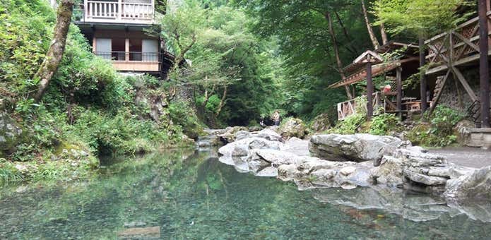 中茶屋キャンプ場