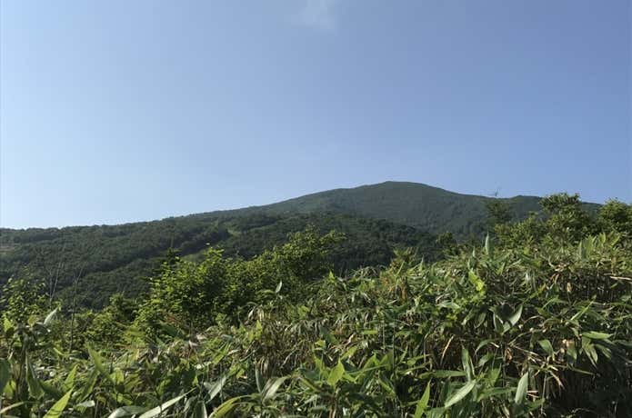 岩内岳