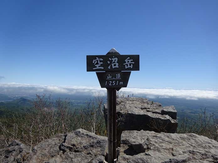 山頂の標識