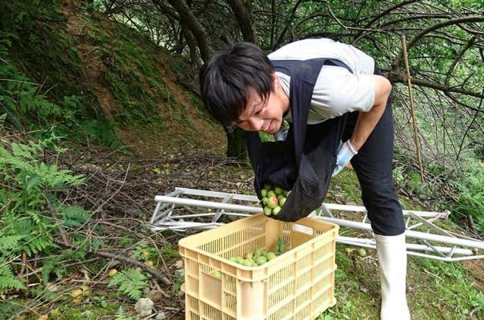 谷橋洋平さん