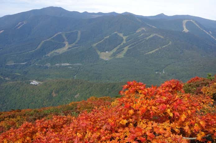 磐梯山 紅葉 山頂から