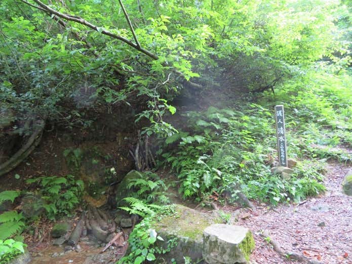 護人清水