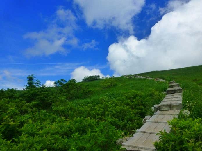青雲岳手前の木道