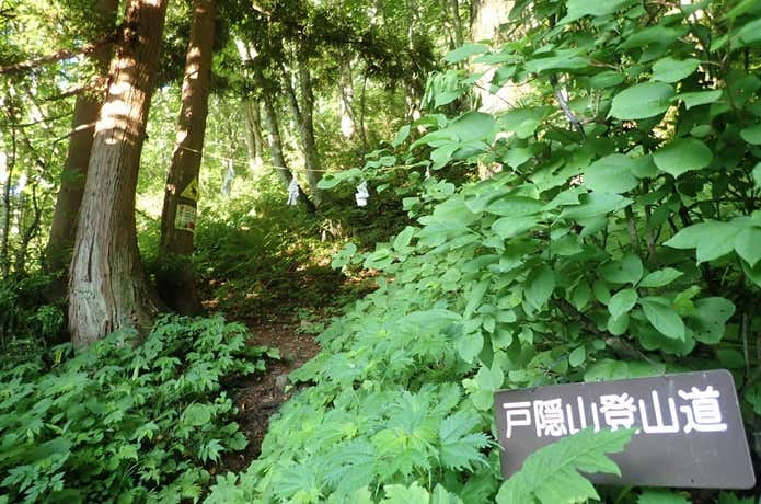 登山道入り口