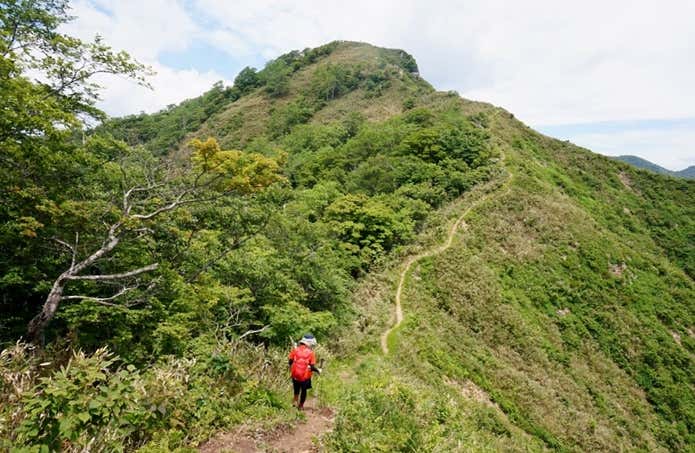 大日ヶ岳までの稜線