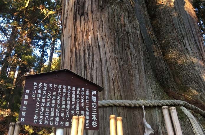 三本杉