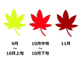 雨飾山の紅葉情報