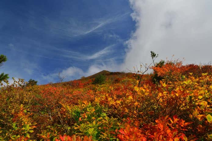磐梯山 紅葉 山頂