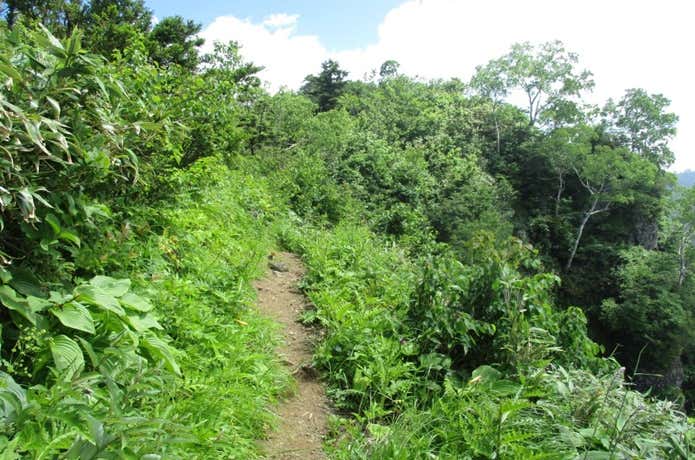 山頂～九頭竜山への登山道