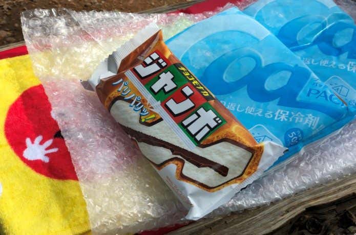 アイスと保冷剤