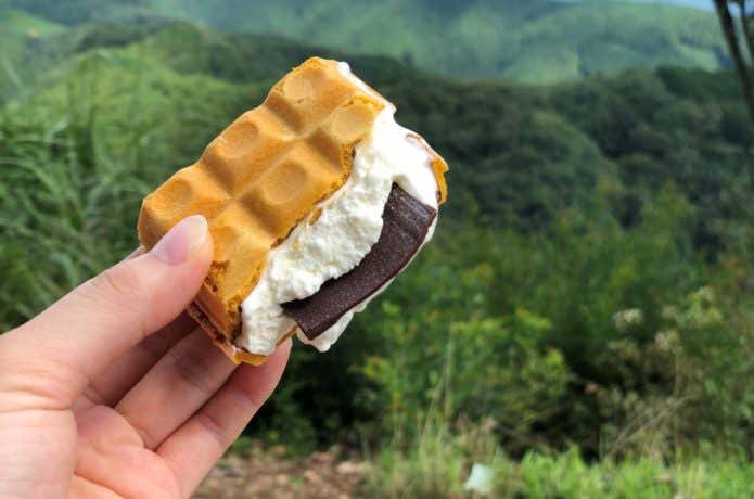 2つに割ったチョコモナカジャンボ