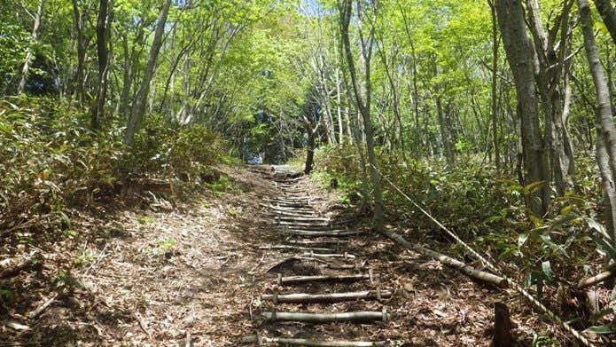 城内コース途中の階段