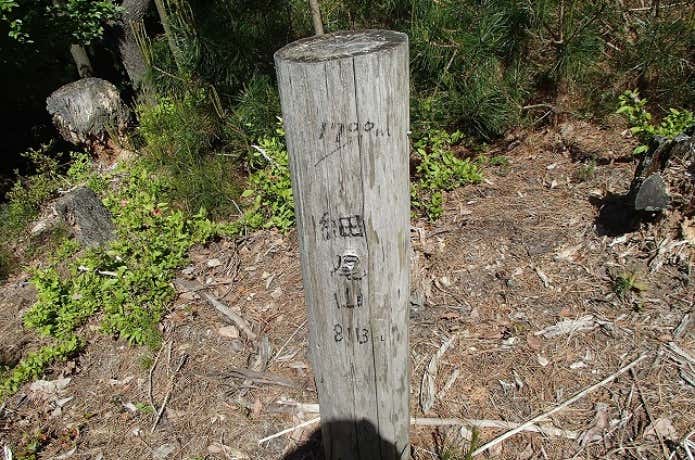 細尾山