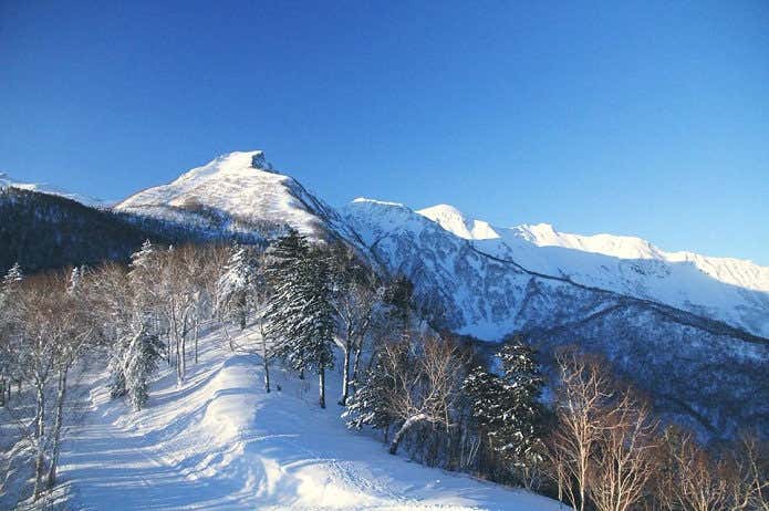冬の黒岳