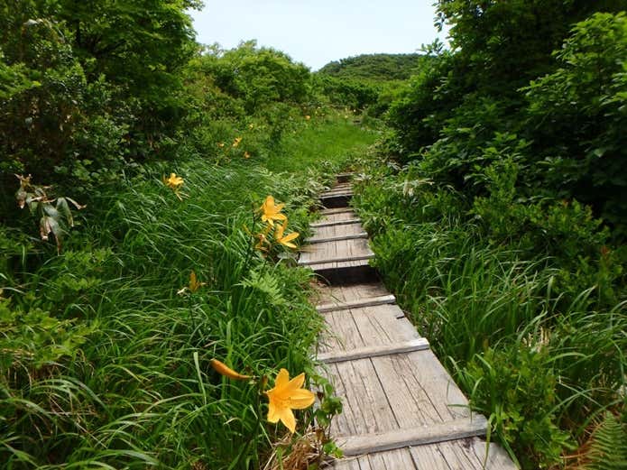 袴岳への木道