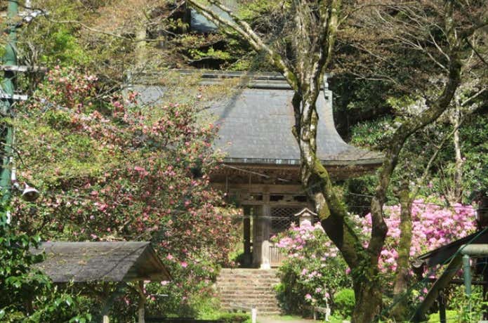 志明院