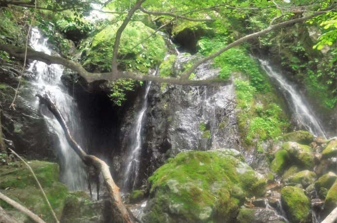 虹ヶ滝
