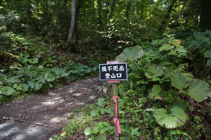 風不死岳登山口