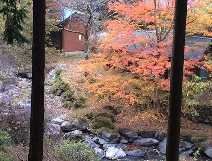 清東園キャンプ場