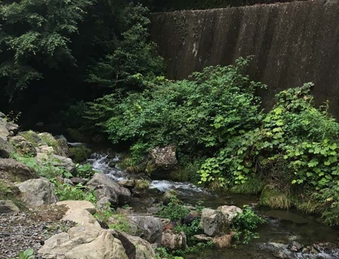 大岳キャンプ場