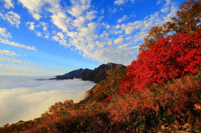 唐松岳の紅葉