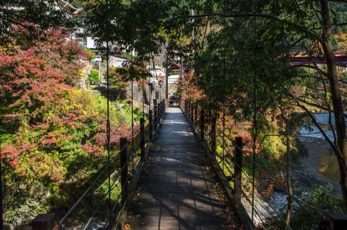 氷川小橋の紅葉