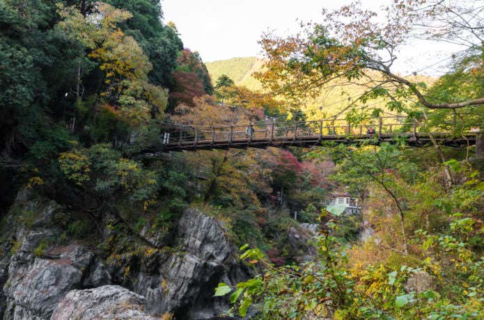 鳩ノ巣小橋の紅葉