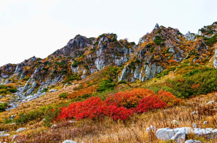 木曽駒ヶ岳の紅葉