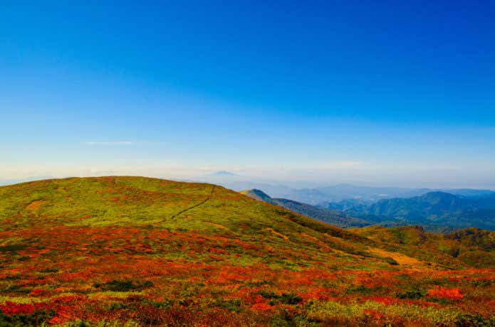 栗駒山 紅葉 神の絨毯