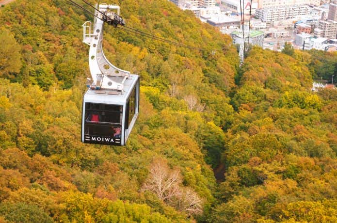 秋　藻岩山