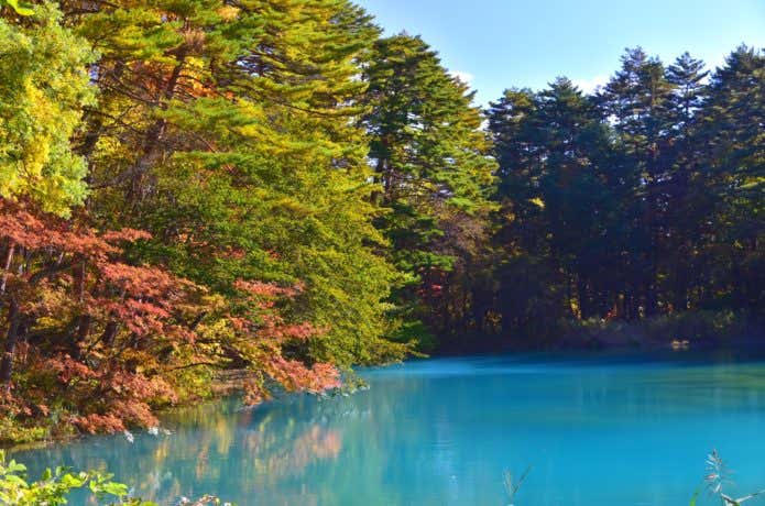 紅葉の青沼
