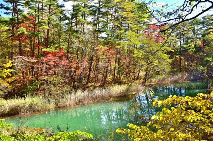 紅葉の赤沼