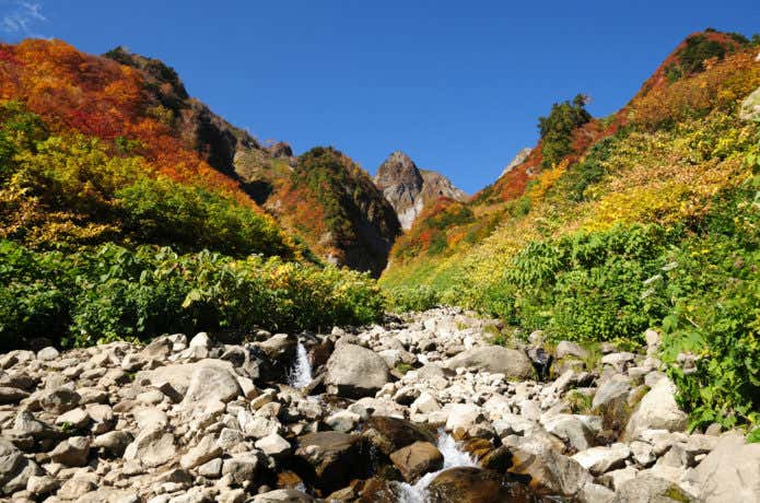 荒菅沢の紅葉