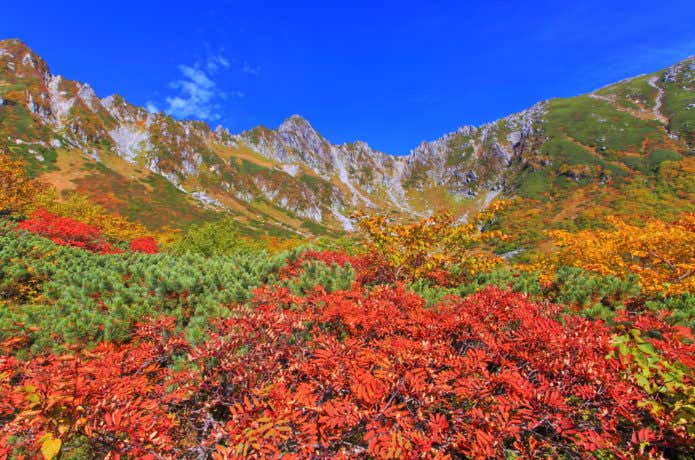 木曽駒ヶ岳の紅葉