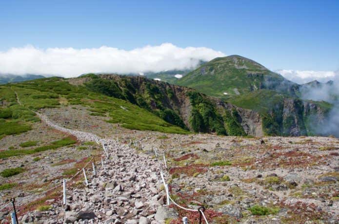 トップ 黒岳 登山 スニーカー