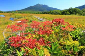 紅葉の尾瀬