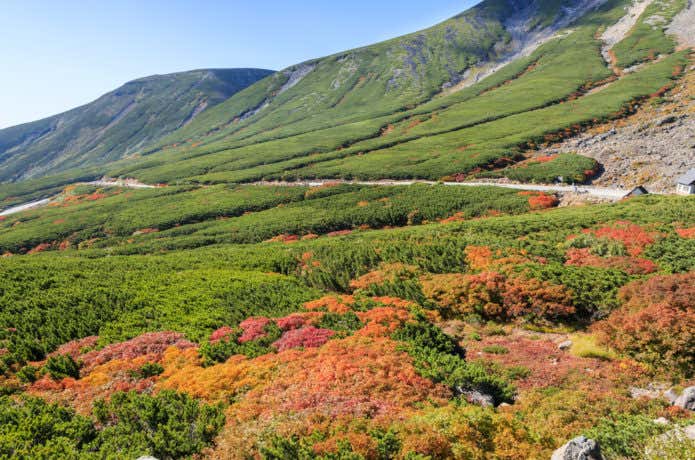 乗鞍岳のエコーラインと紅葉
