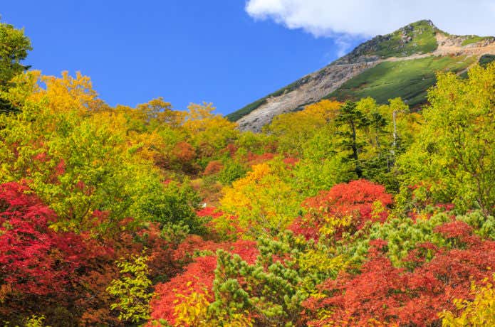 位ヶ原の紅葉