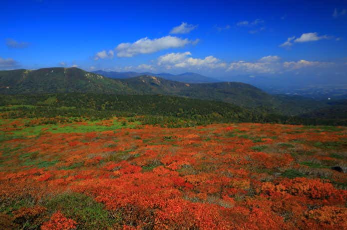 紅葉の三ツ石山