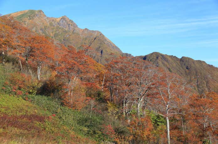 天神平駅から見た谷川岳、西黒尾根
