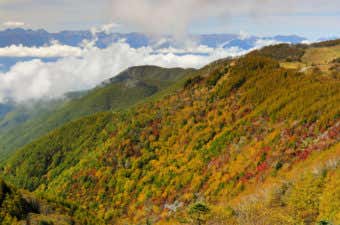 美ヶ原の紅葉