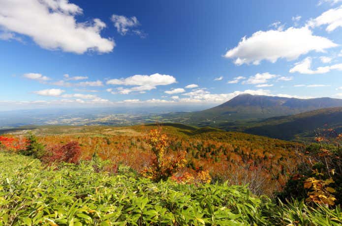 八幡平の紅葉