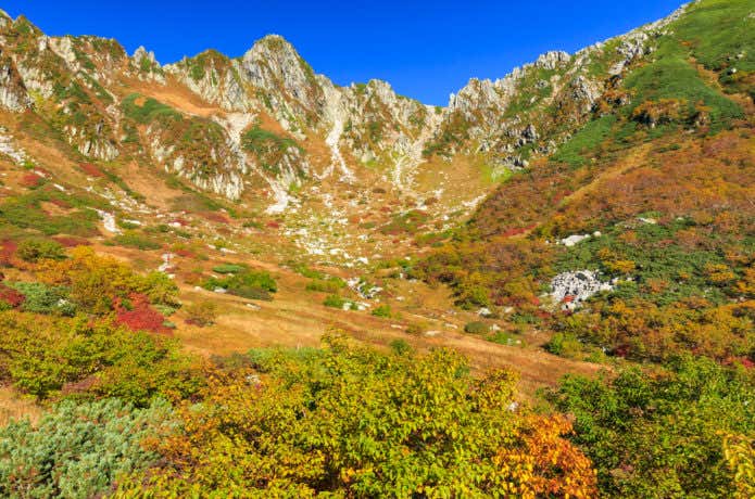 千畳敷カールの紅葉
