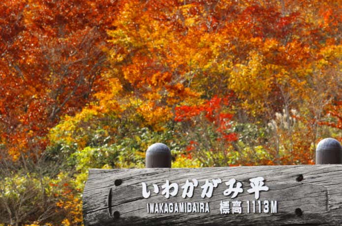 栗駒山　紅葉　いわかがみ平